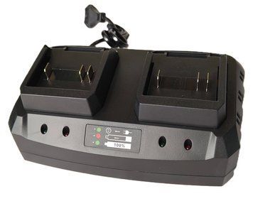 Зарядное устройство FGT CH202 Dual CH202D фото